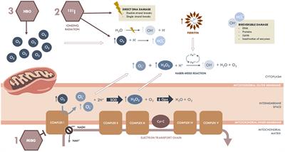 Hyperbaric oxygen therapy as a complementary treatment in neuroblastoma — a narrative review